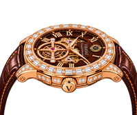 VIRASAT Callisto Model-2.X