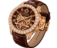 VIRASAT Callisto Model-2.X